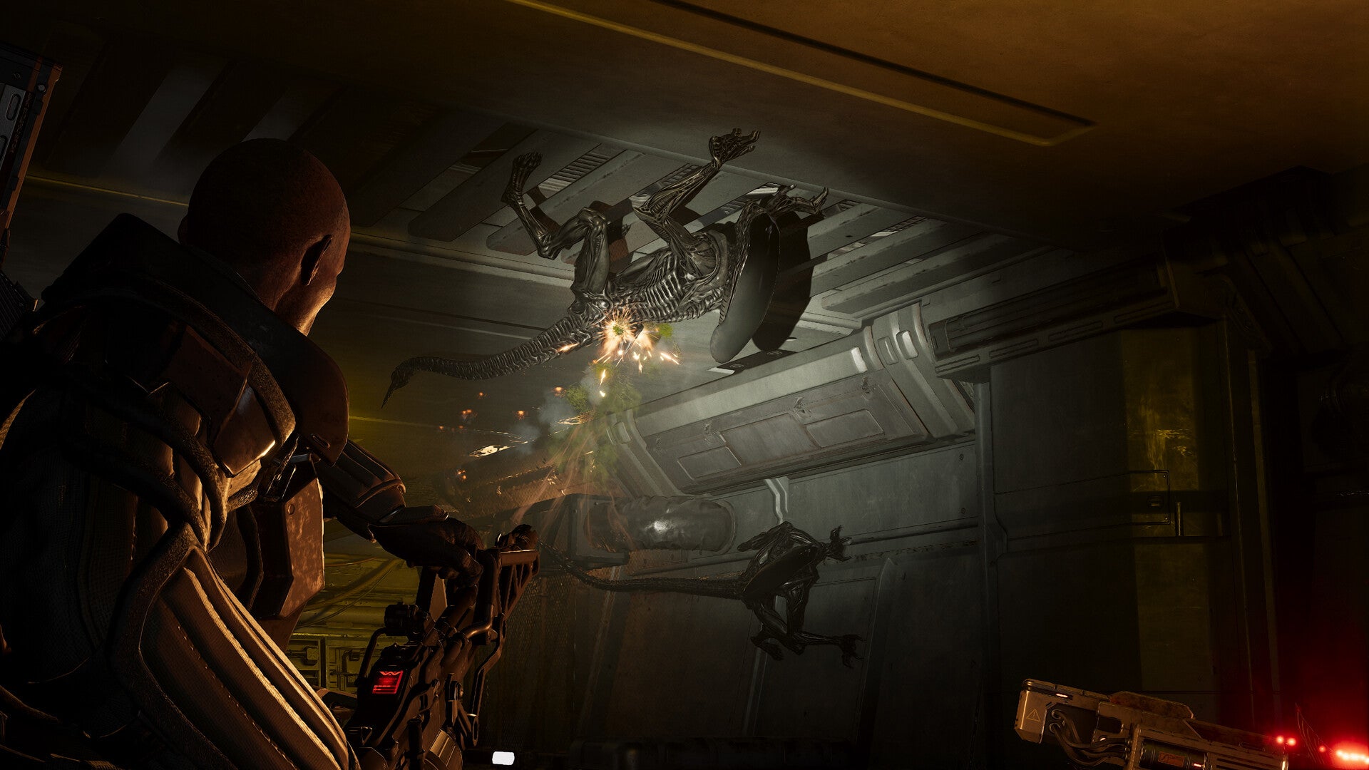 Aliens: Fireteam Elite 2 Switch 2 Version Delayed to Early 2027