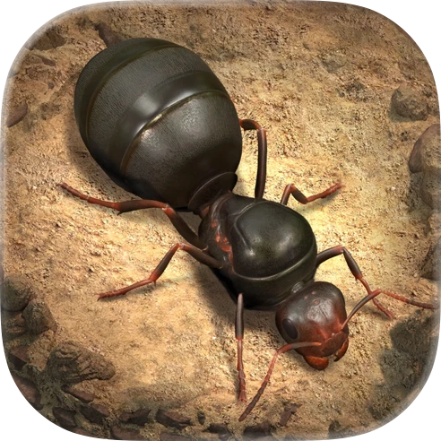 The Ants